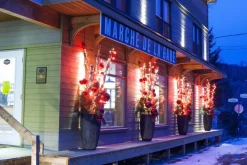 Set of 15 satin red G50 outdoor lights on green wire, 10′