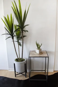 Small End Table 19.5 x 13.5″