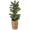 Small fir in kraft paper pot, 12,5″
