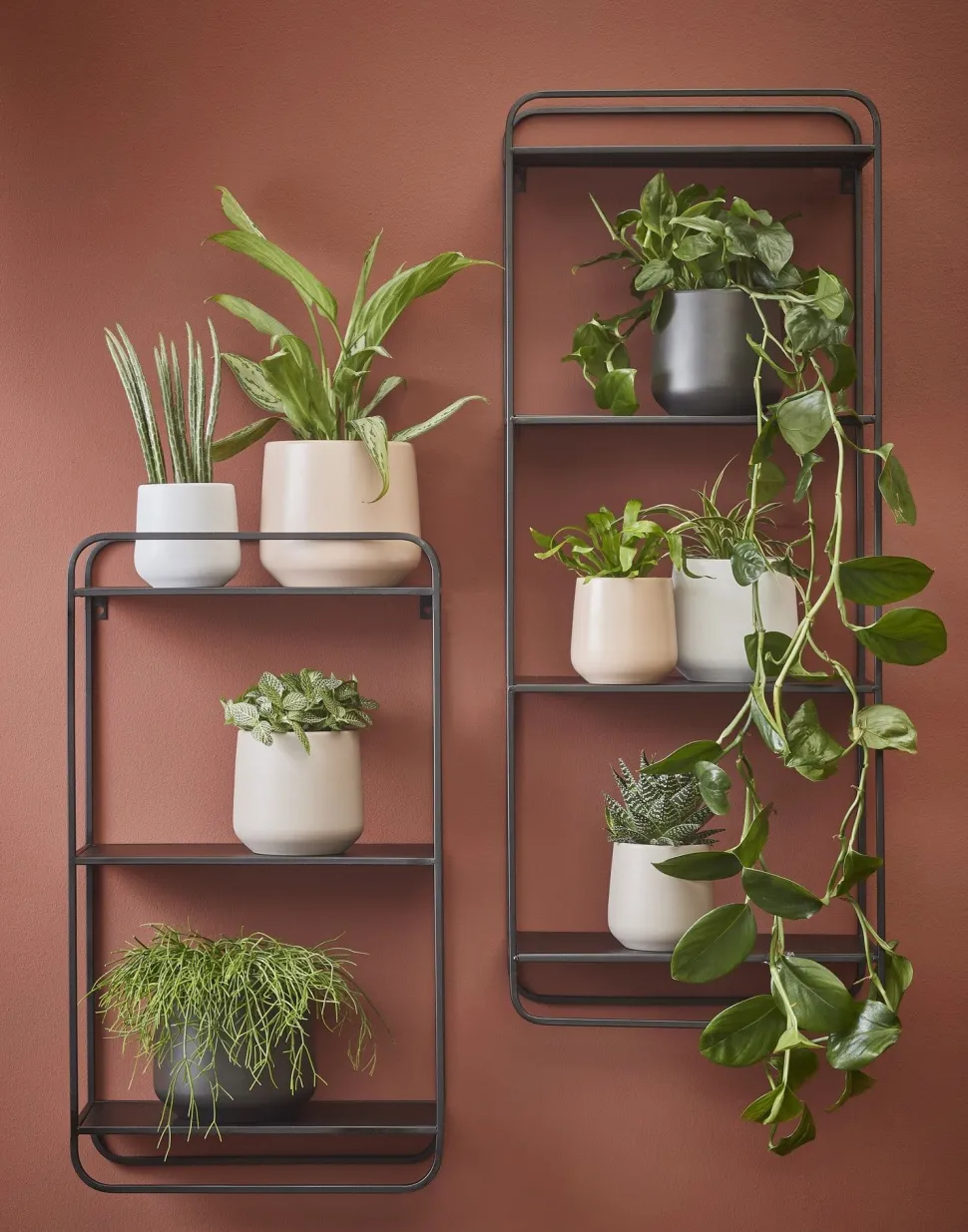 Small matte dark grey ceramic pot, 5,5 x 6"