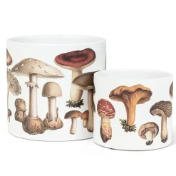 Small mushroom decorative pot, 6,5