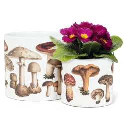 Small mushroom decorative pot, 6,5