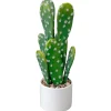 Small Potted Cactus, 15 x 8″