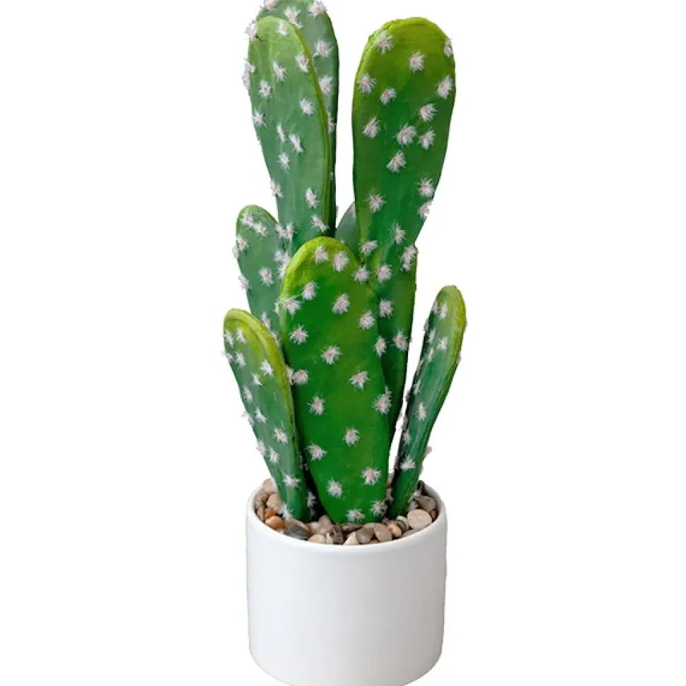Small Potted Cactus, 15 x 8″