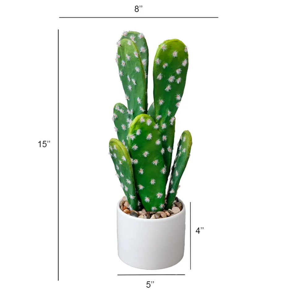 Small Potted Cactus, 15 x 8″