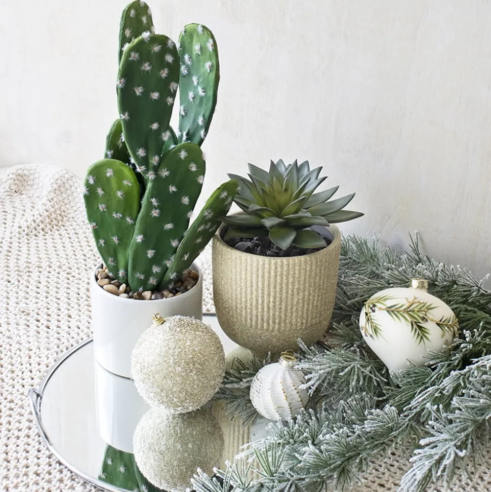 Small Potted Cactus, 15 x 8″