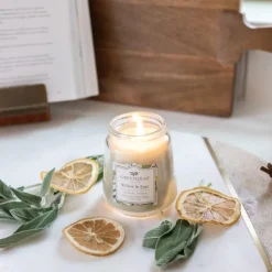 Small Willow & Sage candle, 4,3 oz