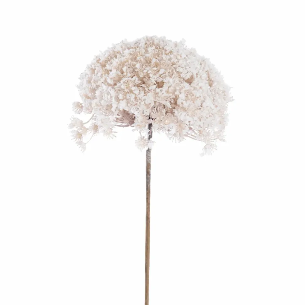 Snow-covered flower, queen anne’s lace, 27"