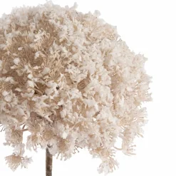 Snow-covered flower, queen anne’s lace, 27