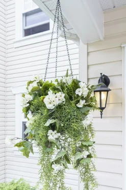 Sprengeri suspendu artificiel d’extérieur, 30″