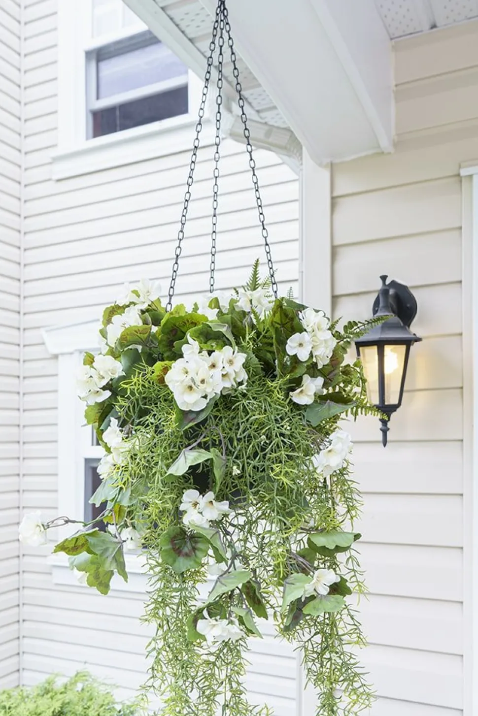 Sprengeri suspendu artificiel d’extérieur, 30″