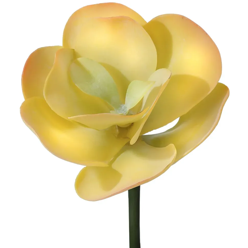Succulente artificielle à larges feuilles jaunes, 10″