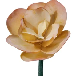Succulente artificielle à larges feuilles crème, 10″