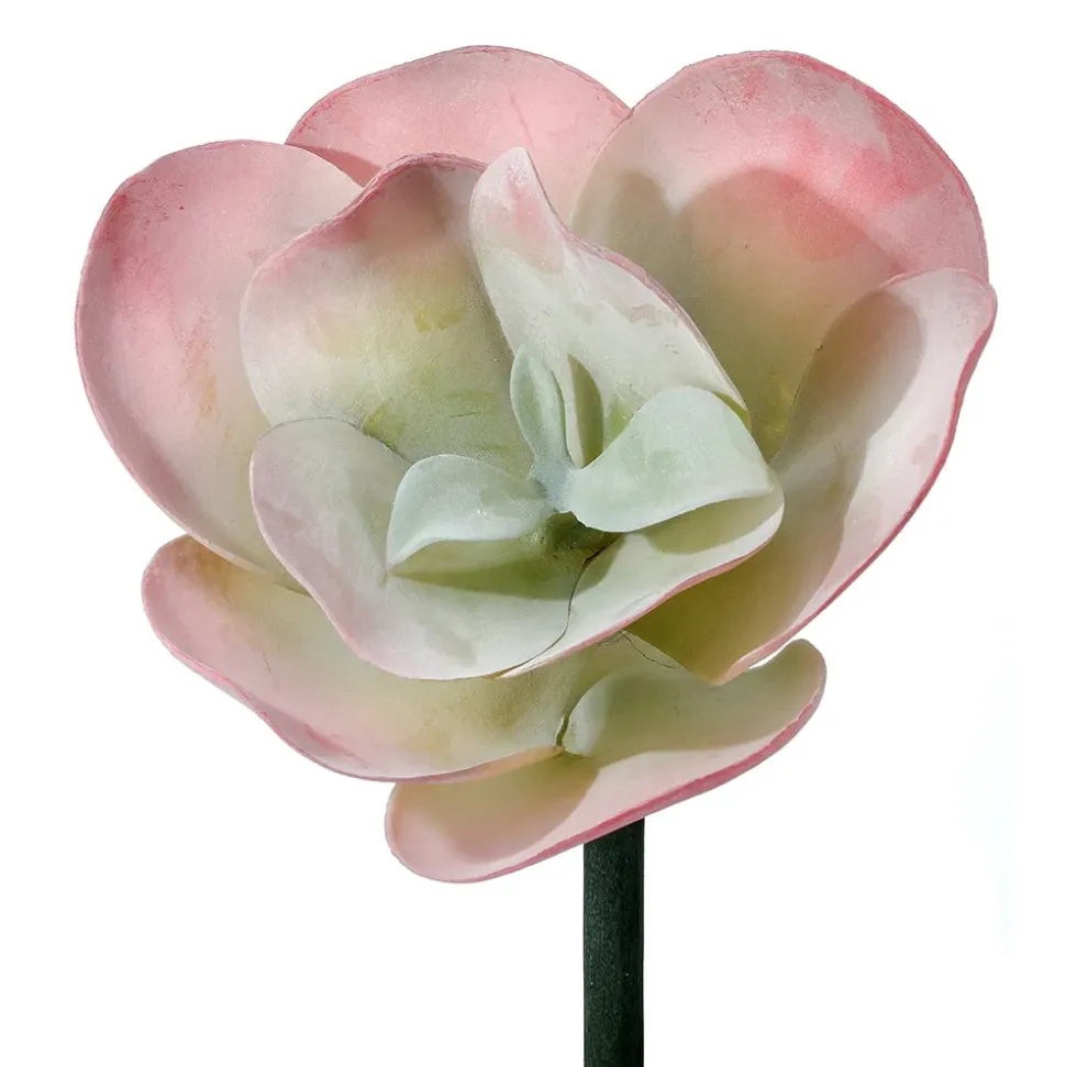 Succulente artificielle à larges feuilles roses, 10″
