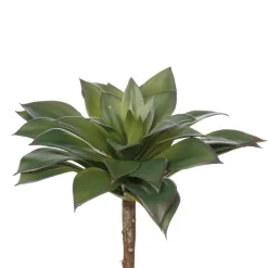 Succulente echeveria agavoides artificielle, 8,5″