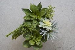 Succulente echeveria agavoides artificielle, 8,5″