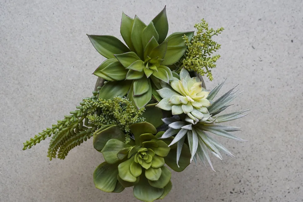 Succulente echeveria artificielle, 10,5″