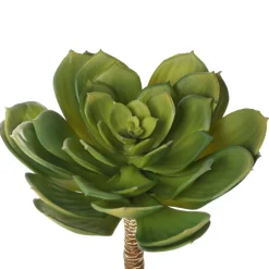 Succulente echeveria artificielle, 10,5″