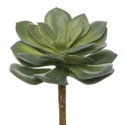 Succulente echeveria green prince artificielle, 7″