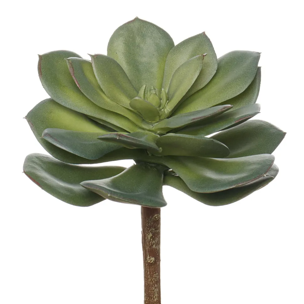 Succulente echeveria green prince artificielle, 7″