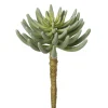 Succulente senecio verte artificielle, 12″