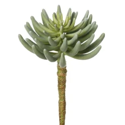 Succulente senecio verte artificielle, 12″