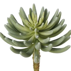 Succulente senecio verte artificielle, 12″