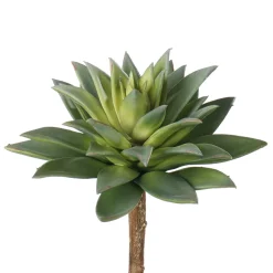 Succulente étoilée verte artificielle, 7,5″