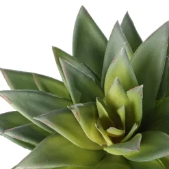 Succulente étoilée verte artificielle, 7,5″