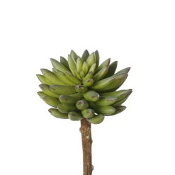 Succulente étoilée verte artificielle, 6,5″