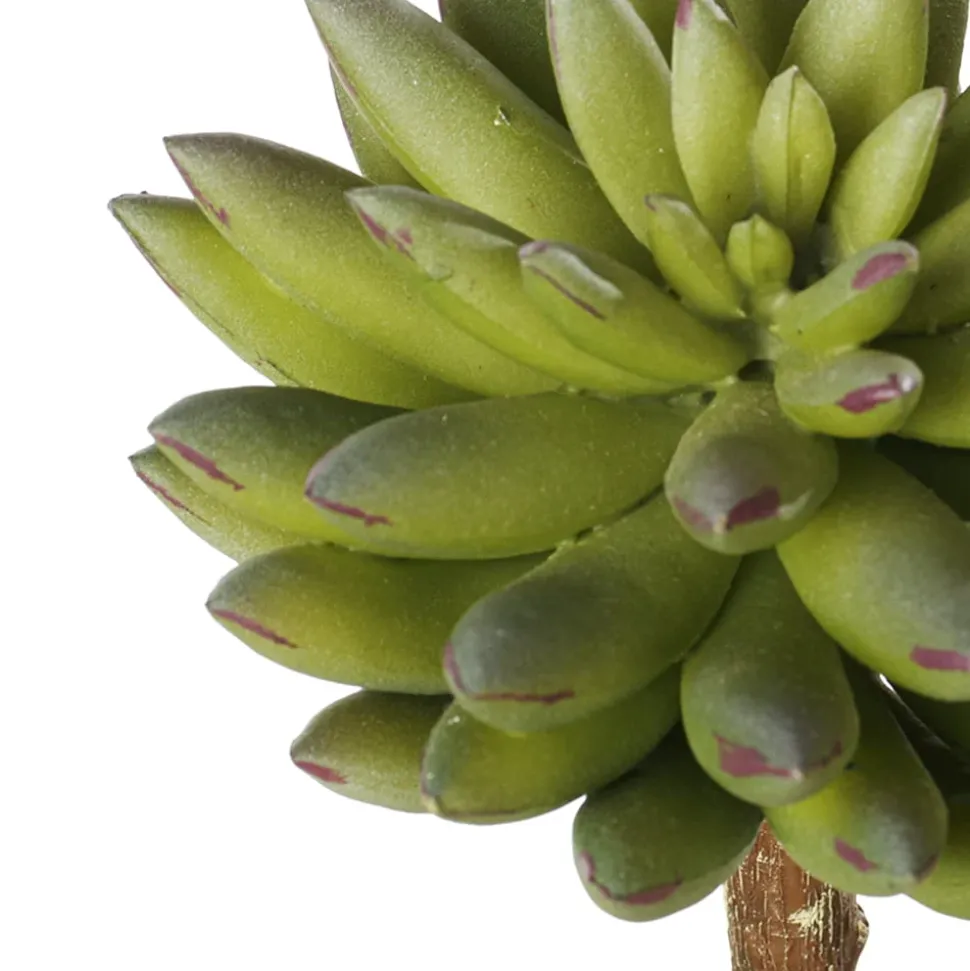 Succulente étoilée verte artificielle, 6,5″