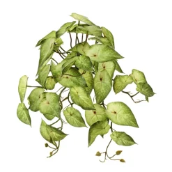 Syngonium artificiel vert pâle au toucher réel, 17″