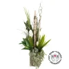 Tall birch and plant arrangement, 53 x 24″