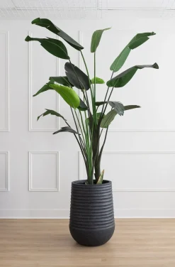 Tall textured black recycled polypropylene planter