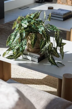 Terracotta copper plant pot