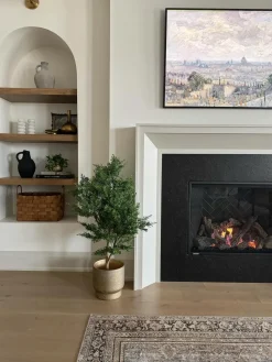 Terracotta gold plant pot