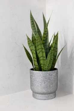 Terracotta silver plant pot
