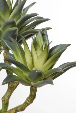 Tige de 3 plantes grasses vertes artificielles