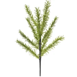 Tige de cyprès lime 15″