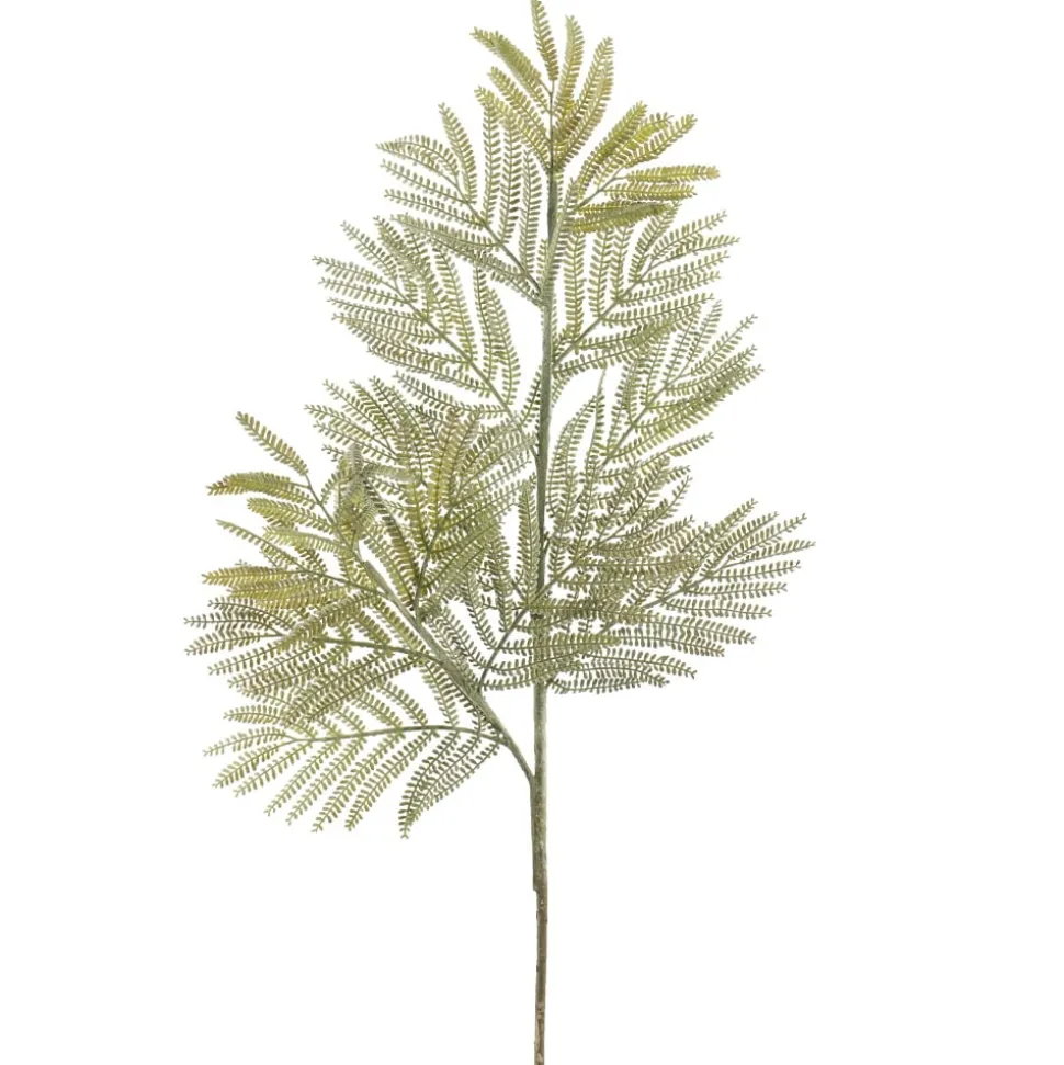 Tige de fougère asparagus artificielle, 30″