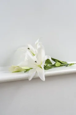 Tige de lys blancs, 34″