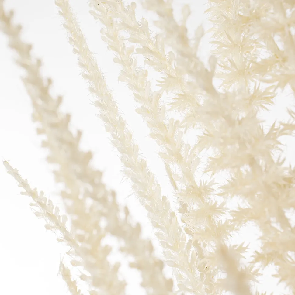 Tige de pampas artificiel, 42″