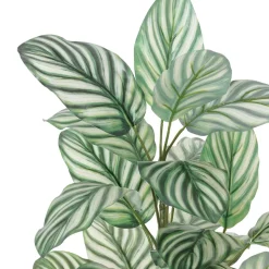 Tige de peperomia argyreia artificiel, 27″
