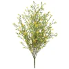 Tige de petites fleurs jaunes trientales boréales, 20″