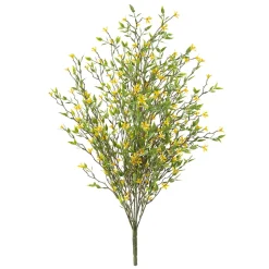 Tige de petites fleurs jaunes trientales boréales, 20″