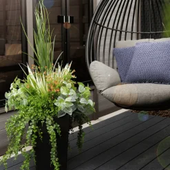 Tige de petites fleurs orange trientales boréales, 20″