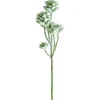 Tige de petites plantes succulentes vert-gris 13″