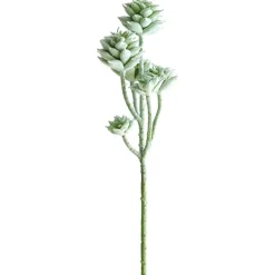 Tige de petites plantes succulentes vert-gris 13″