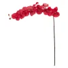Tige de phalaenopsis rouge géante 45″