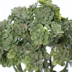 Tige de plante grasse, 9″